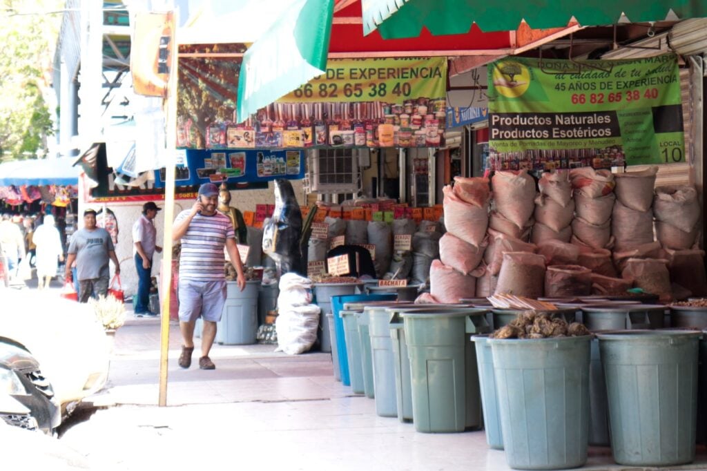 Mercado Cuauhtemoc en Los Mochis