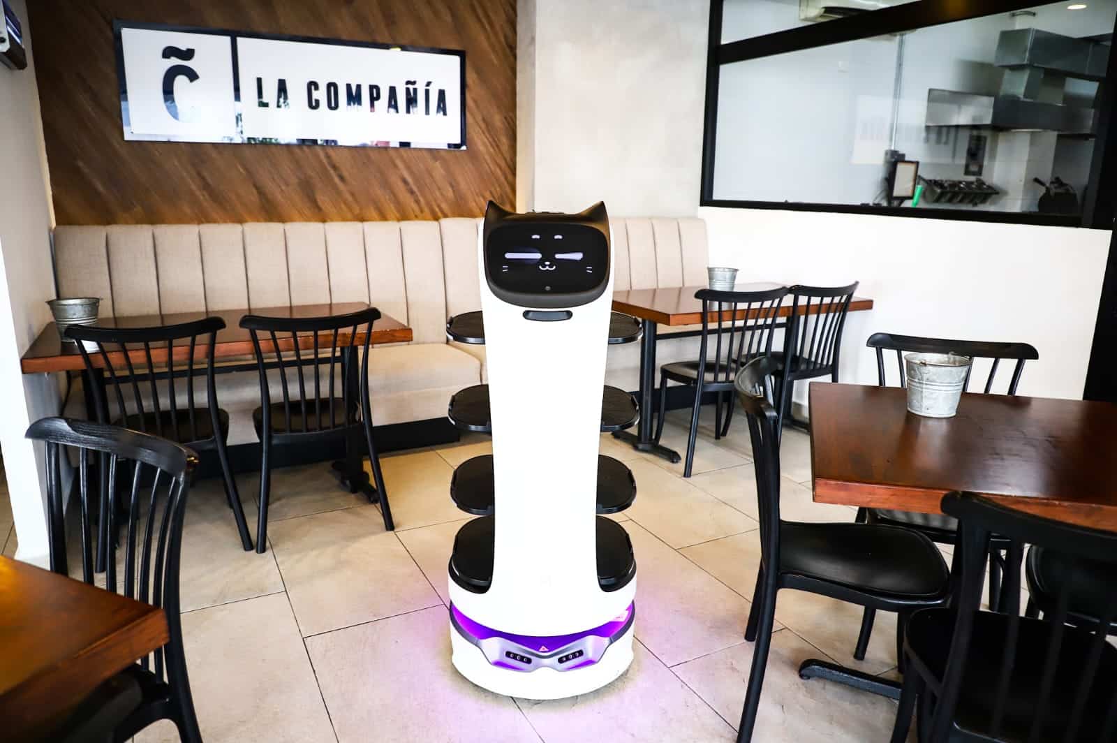 El robot tiene apariencia de gatito, con sus orejitas y un tierno rostro que cambia de gestos con las frases que tiene programadas.