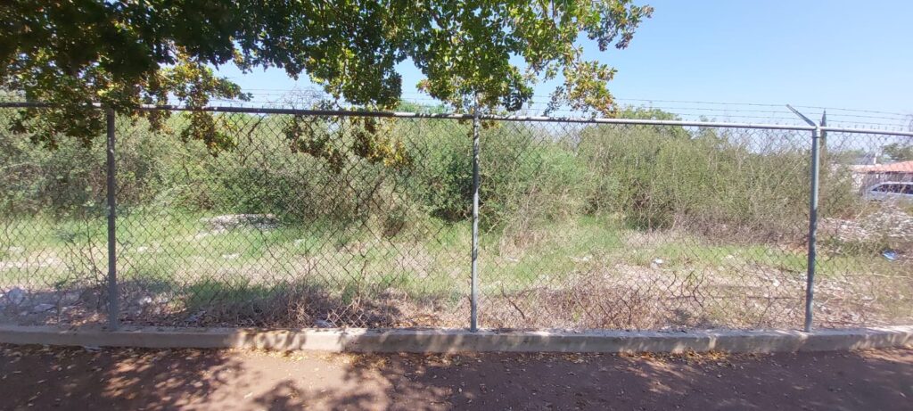 Monte, ramas de un árbol y tela ciclónica