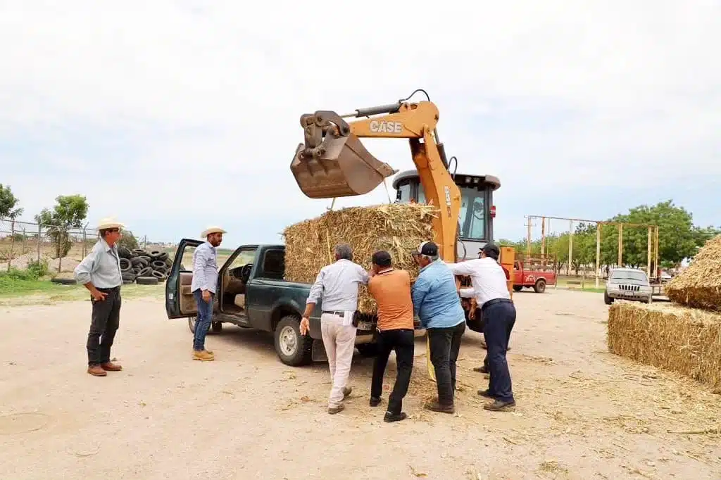 Autoridades municipales y estatales encabezaron la entrega del forraje a 45 ganaderos del municipio