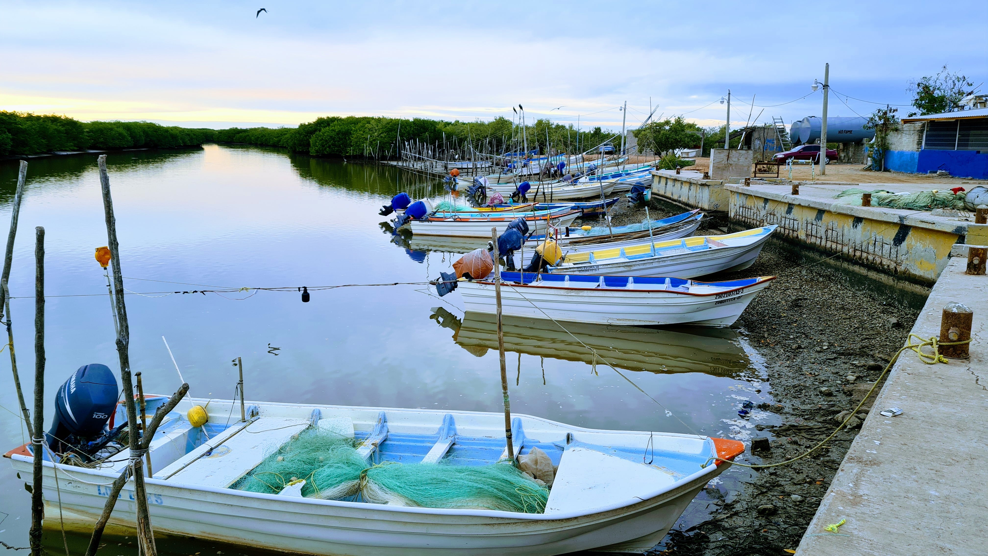 Lanchas de pesca en la bahía