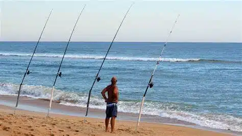 Pesca deportiva