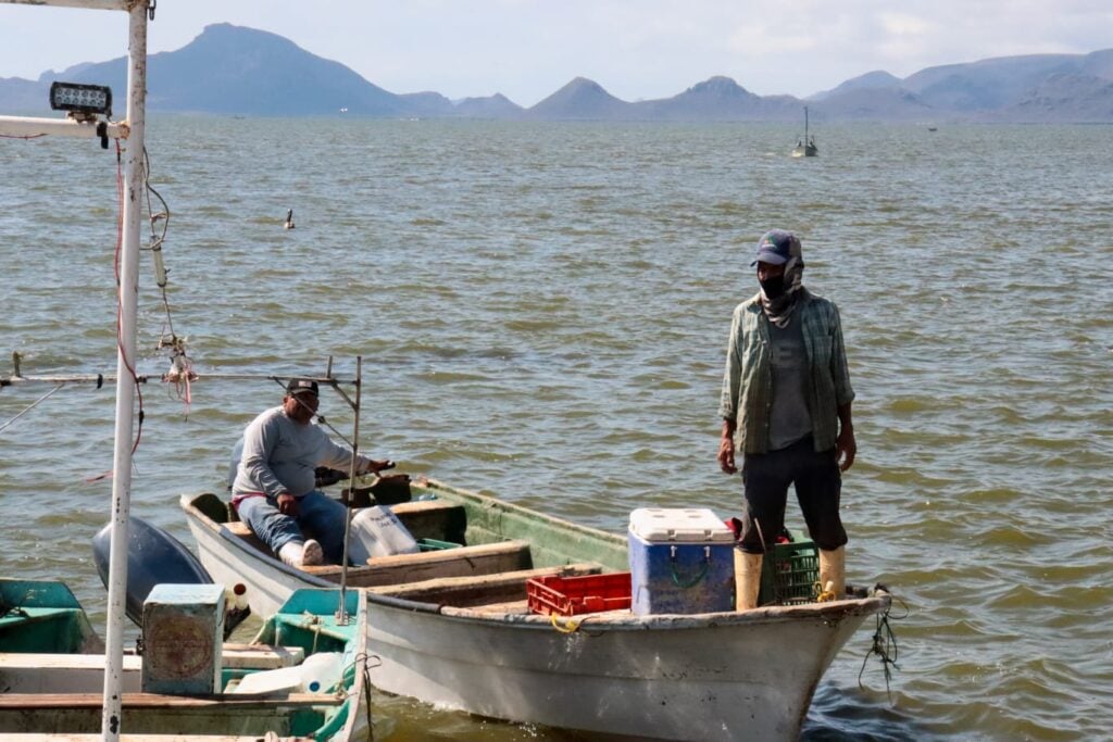 Pescadores de jaiba