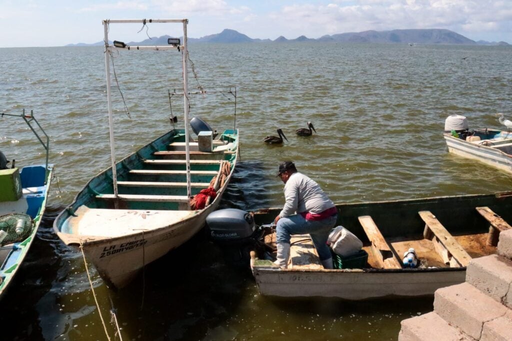 Pescadores de jaiba