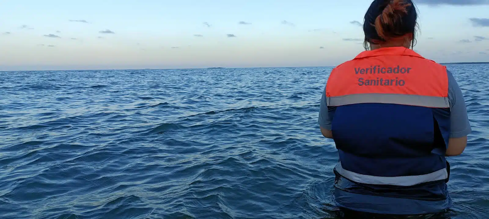 Agua de mar y una persona de espaldas adentro