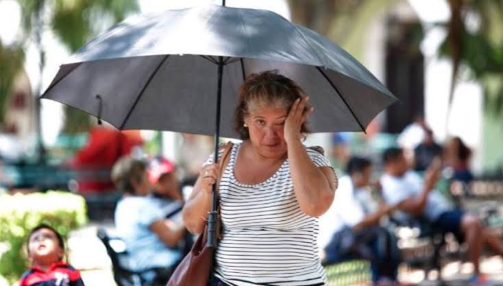 Pronostican que ola calor del 2 al 9 de julio impactará en las siguientes entidades