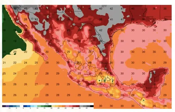 Pronóstico 