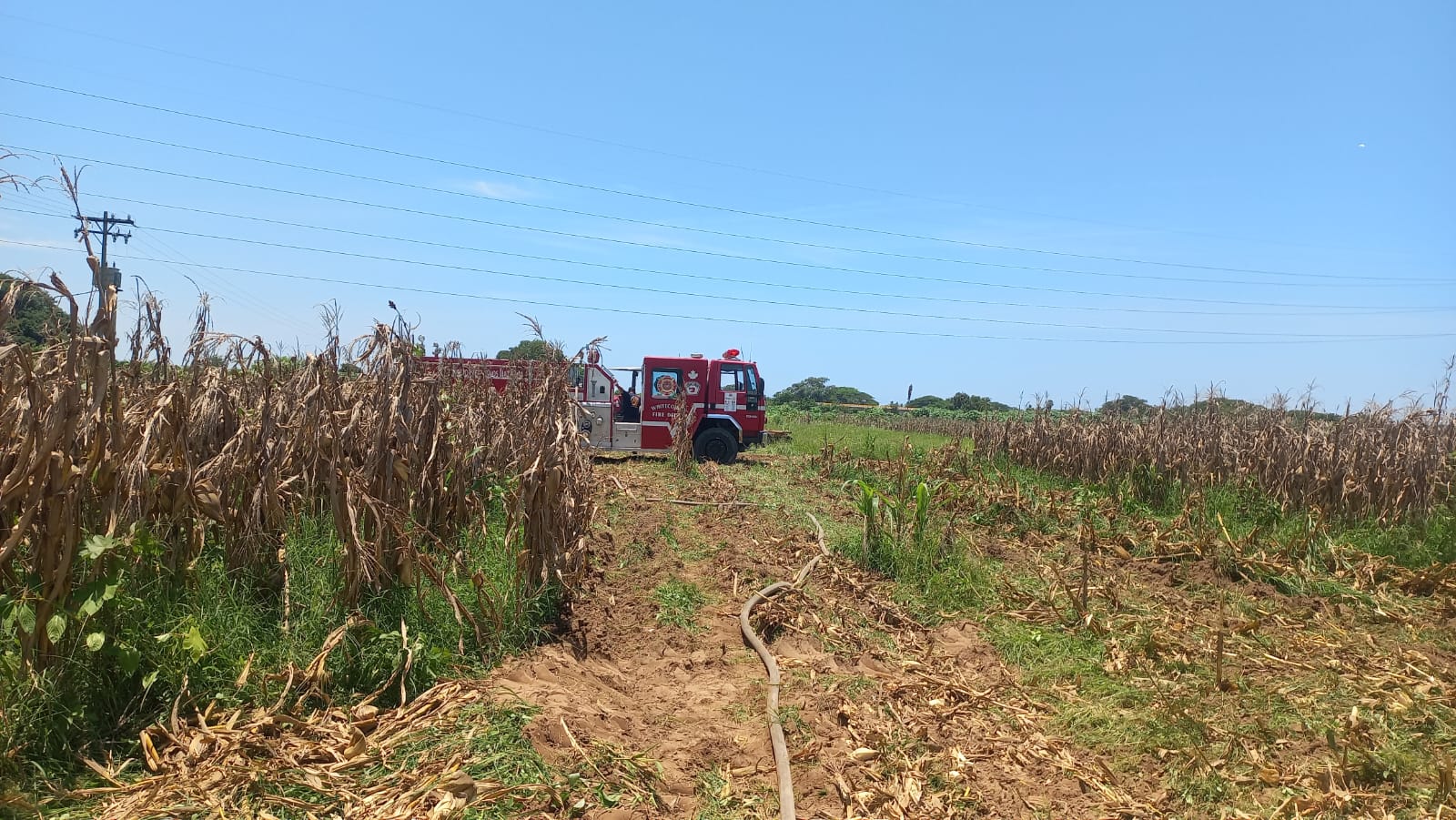 siembra e incendio de trilladora