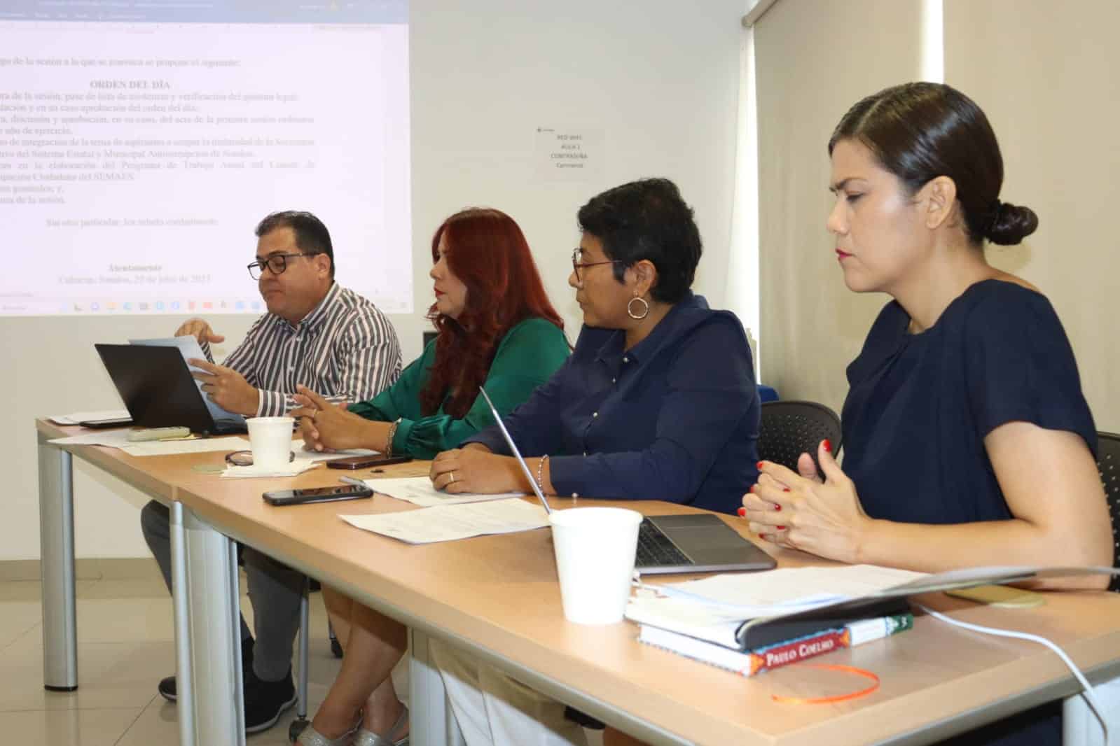 El Comité de Participación Ciudadana llama a los ayuntamientos para que se pongan al corriente de los procesos que se les han marcado.