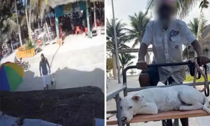 Se viraliza ataque de un turista contra coco en malecón de Mahahual