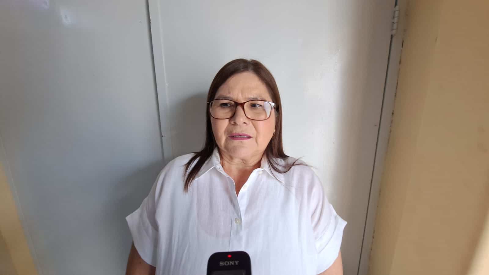 Senadora de Morena, Imelda Castro Castro