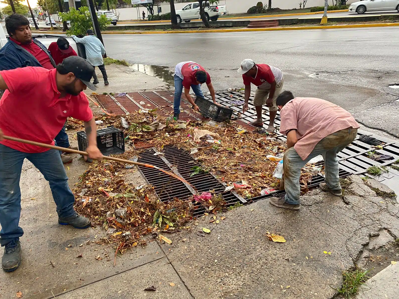 Trabajadores de Servicios Públicos municipales retiran hojas y basura de rejillas pluviales tras lluvias en Mazatlán