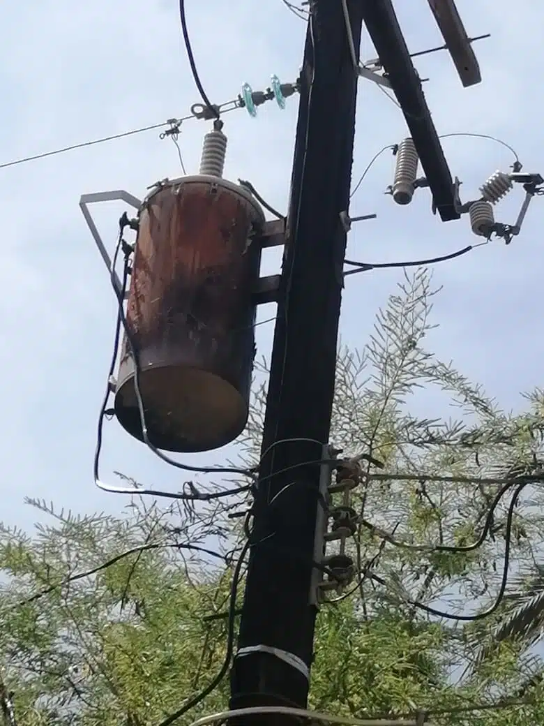 Un transformador de luz junto a un poste, cables y ramas de árboles
