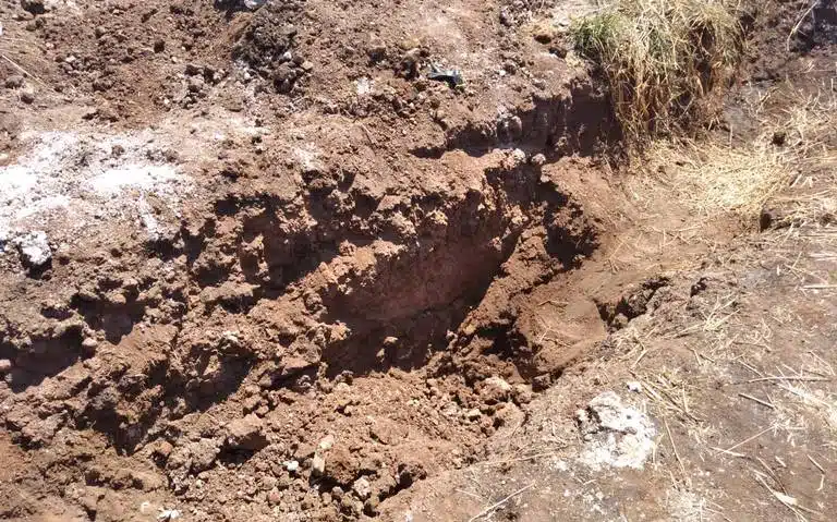 Van 15 cuerpos localizados en fosas clandestinas de Mexicali y Tijuana