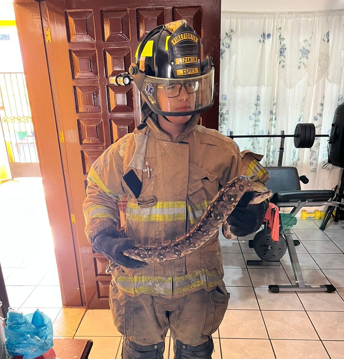 Bomberos Veteranos atraparon a la víbora y la llevaron al monte, al norte de la ciudad.