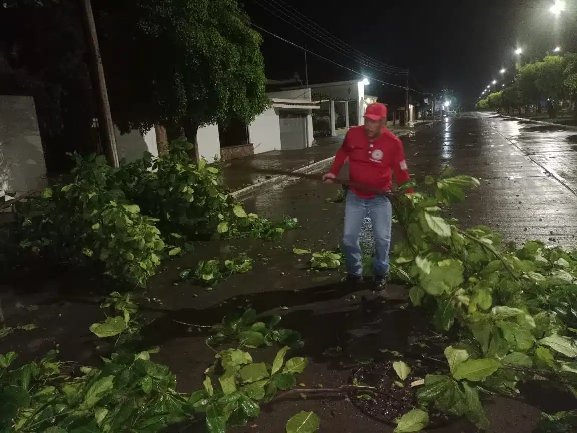 Voluntario de Protección Civil Guasave retira ramas de árboles derribadas por los fuertes vientos tras tormenta de rápida formación