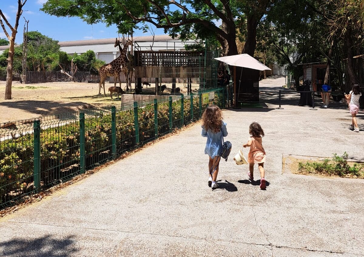 Curso de Verano en Zoológico de Culiacán