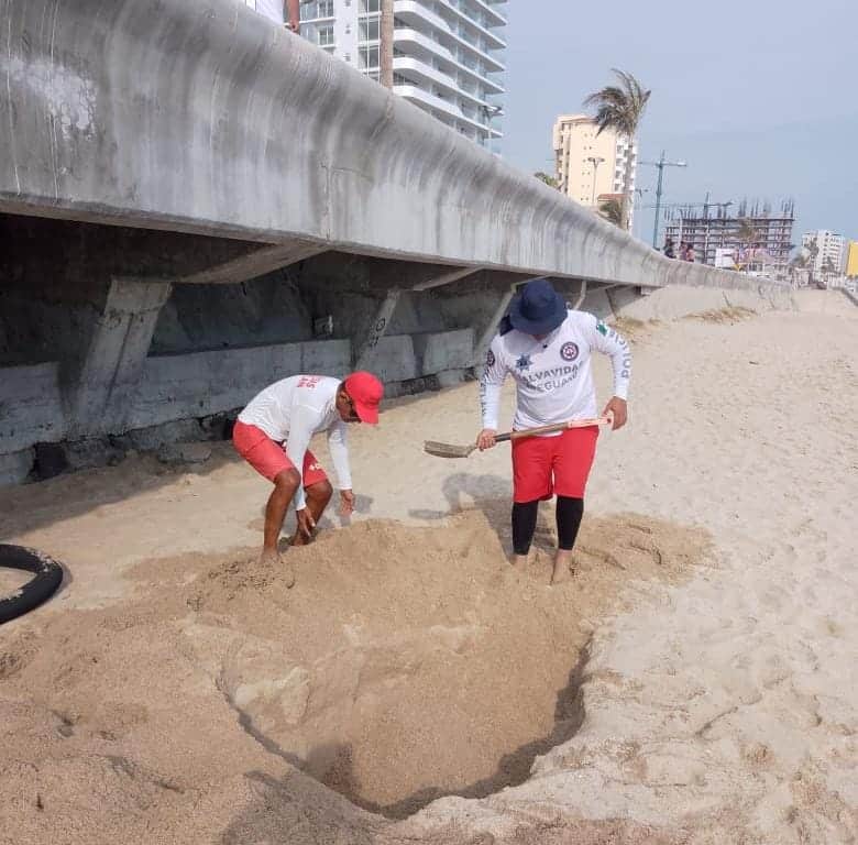 Entierran dos delfines en playa de Mazatlán