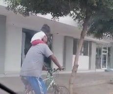 Sin medir el riesgo ciclista transporta a bebé sobre sus hombros en Guasave