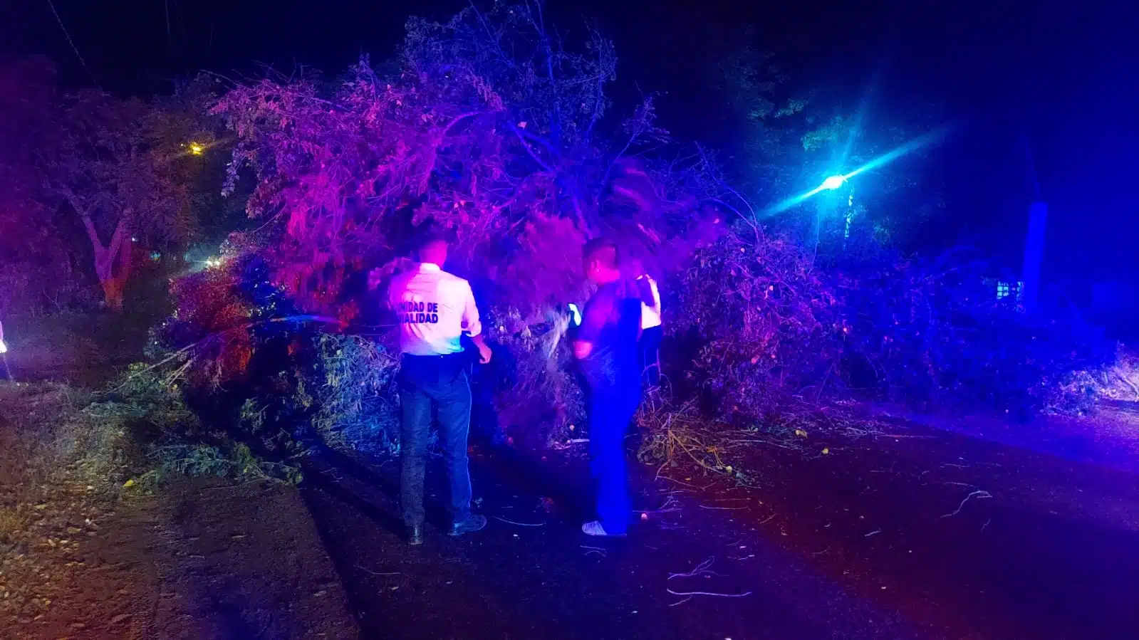 Postes caídos y un árbol bloqueando carretera en Ahome, dejó el viento de este martes