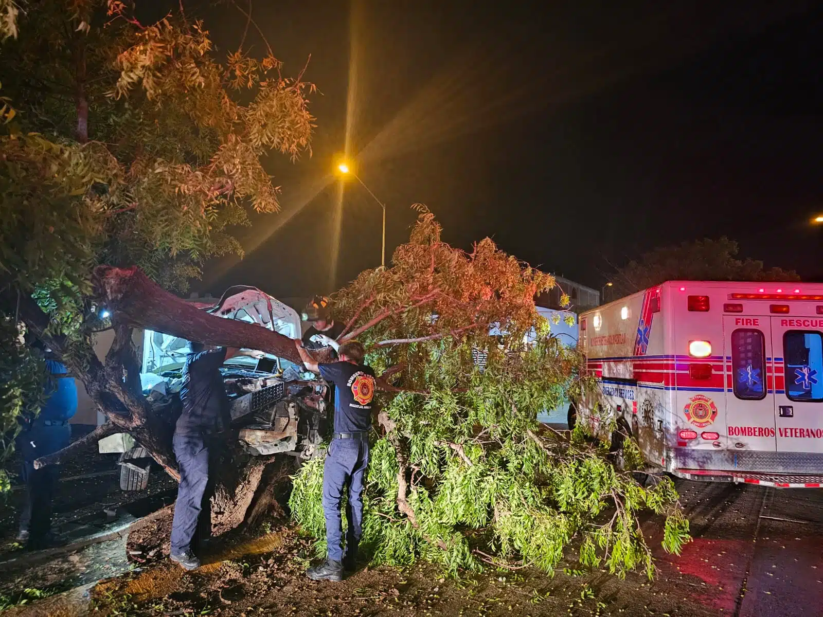 Pierde el control del auto y derriba dos árboles en Hacienda del Seminario, Mazatlán