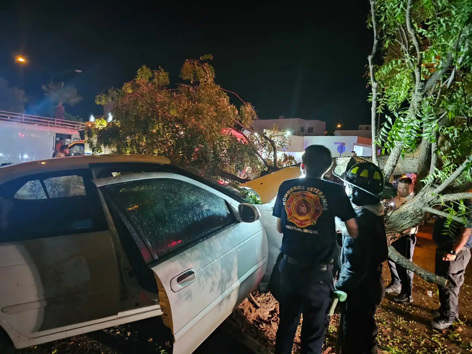 Pierde el control del auto y derriba dos árboles en Hacienda del Seminario, Mazatlán