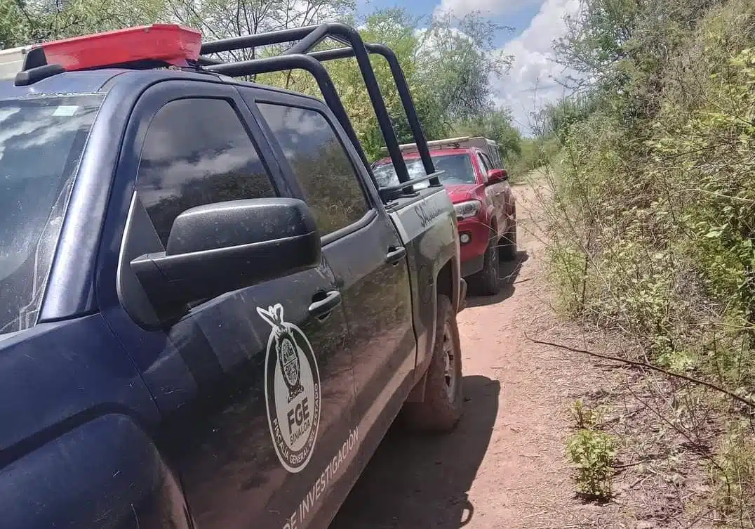 Policiaca municipio de Sinaloa