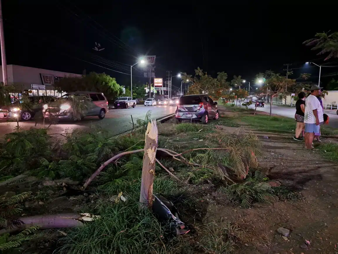 Auto Spark derriba un árbol tras choque por alcance sobre la avenida Obregón, en Culiacán