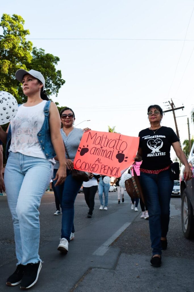 Por el Día Mundial del Perro, en Ahome llevan a cabo marcha de concientización de mascotas