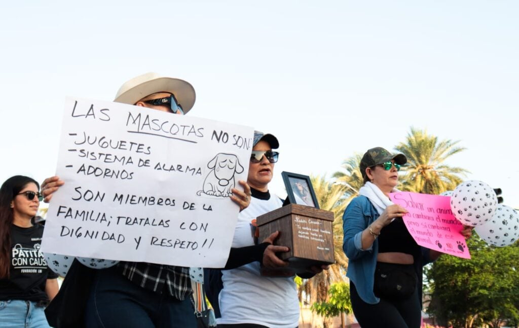 Por el Día Mundial del Perro, en Ahome llevan a cabo marcha de concientización de mascotas