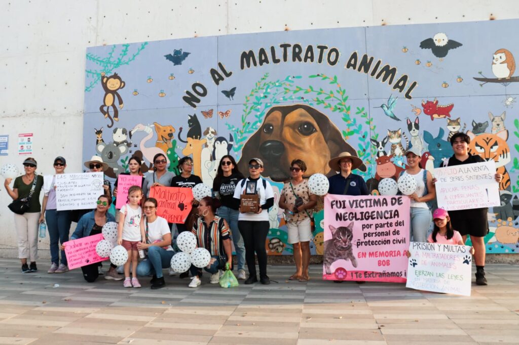 Por el Día Mundial del Perro, en Ahome llevan a cabo marcha de concientización de mascotas