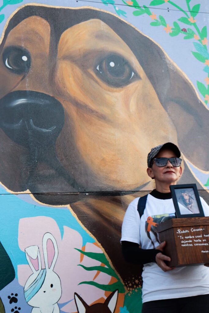 Por el Día Mundial del Perro, en Ahome llevan a cabo marcha de concientización de mascotas