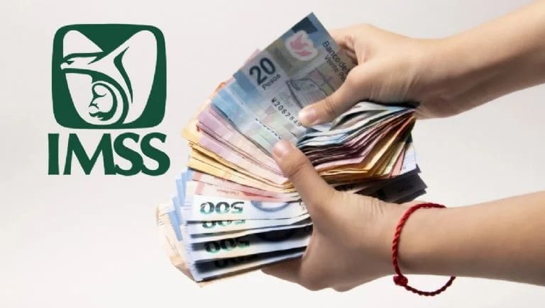 Billetes y logo de IMSS