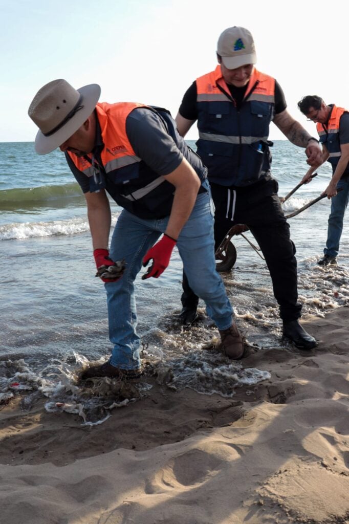 Retiran peces muertos de El Maviri para evitar que traten de consumirlos