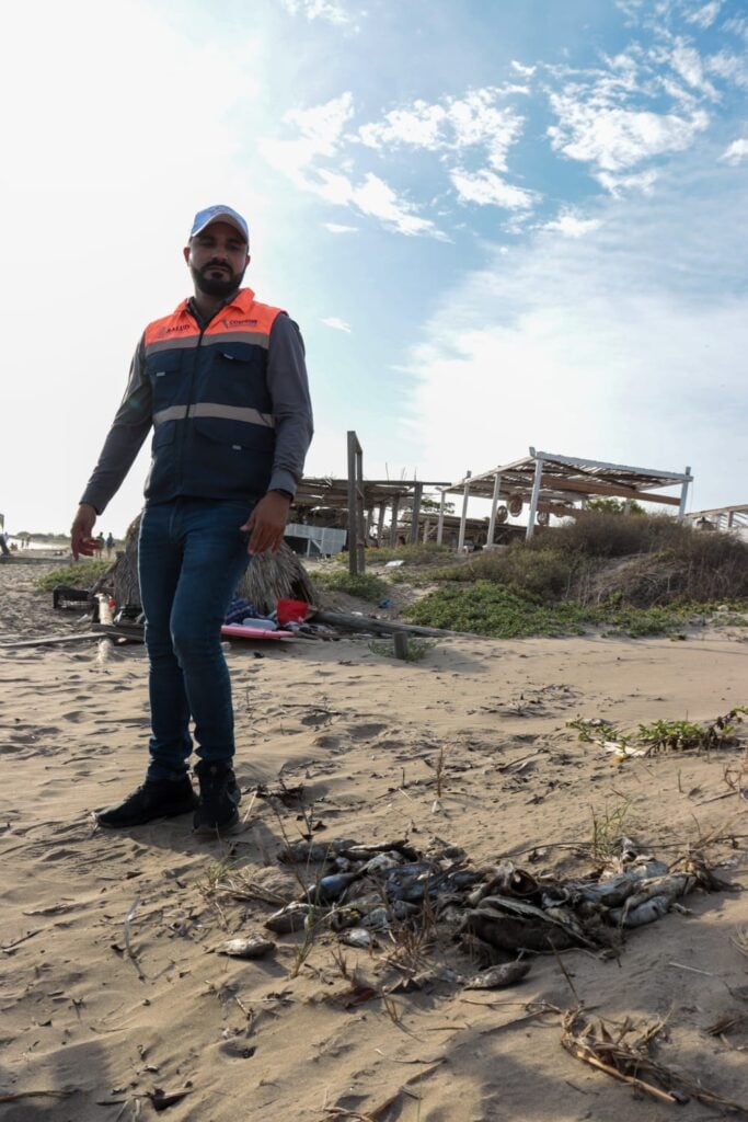 Retiran peces muertos de El Maviri para evitar que traten de consumirlos