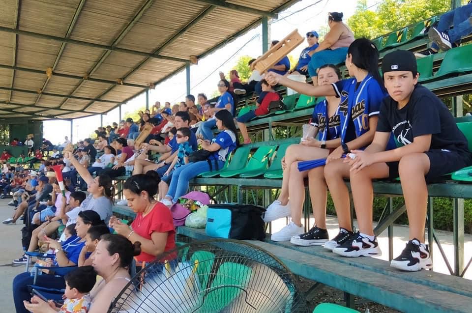 Foto de afición en grada