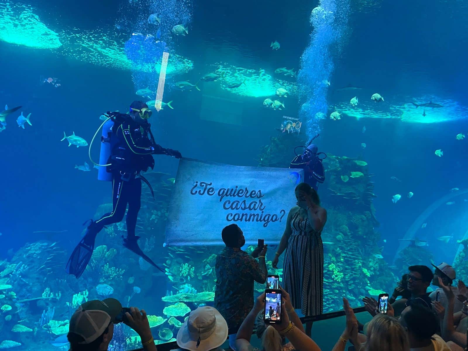 Propuesta de matrimonio en el Gran Acuario Mazatlán Mar de Cortés