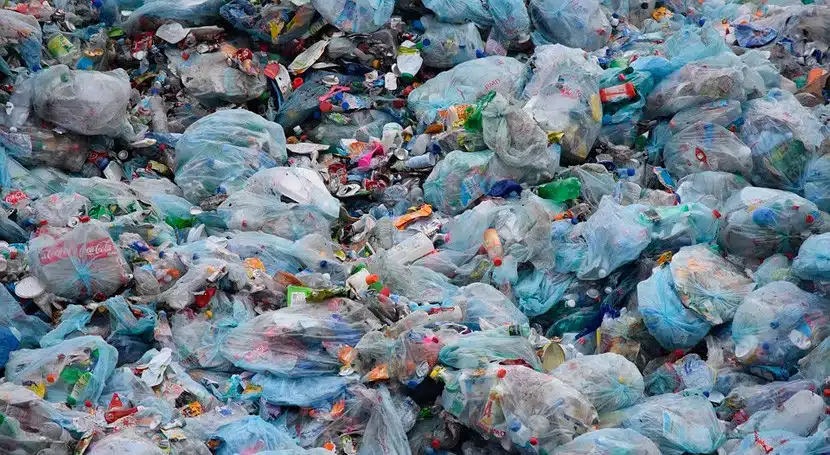 En Sinaloa se desechan 4 mil toneladas de plásticos al año