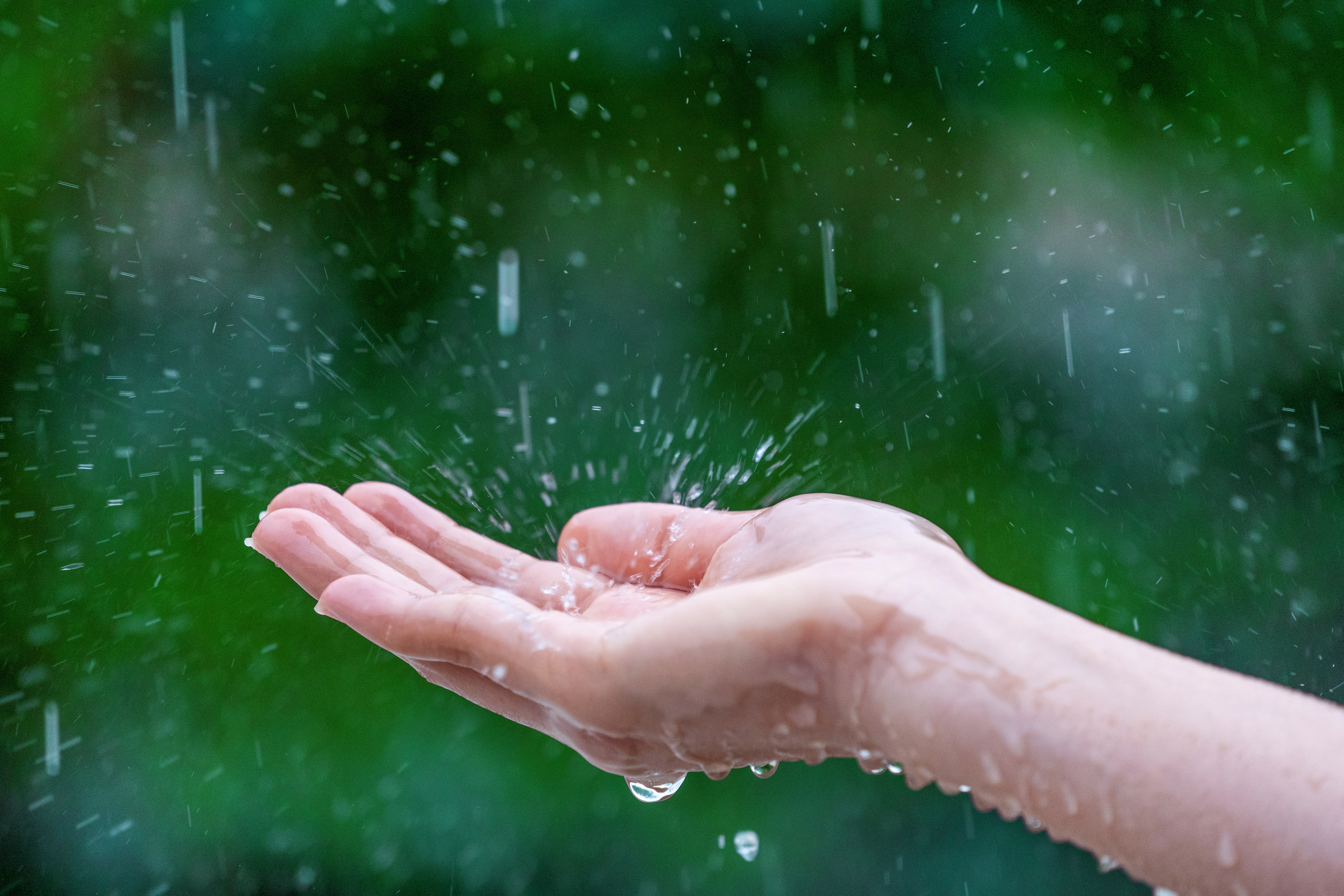 Mano mojada recibiendo gotas de lluvia