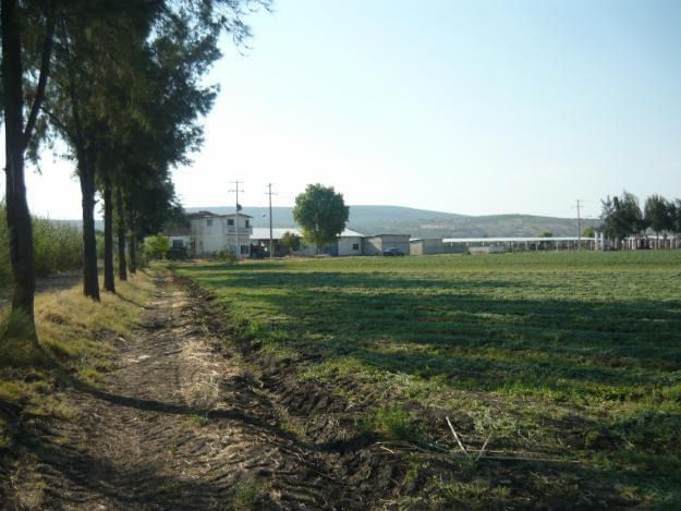 comunidad de Tres Garantías