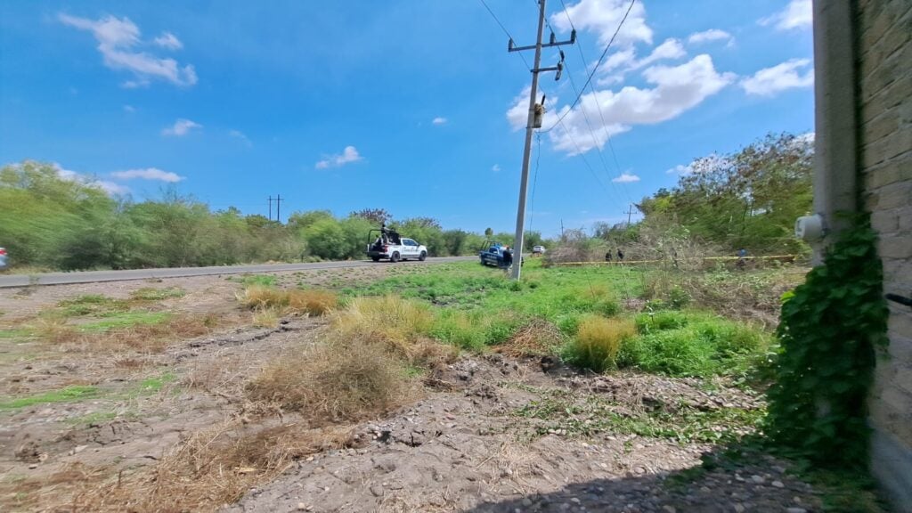 Monte al costado de una carretera