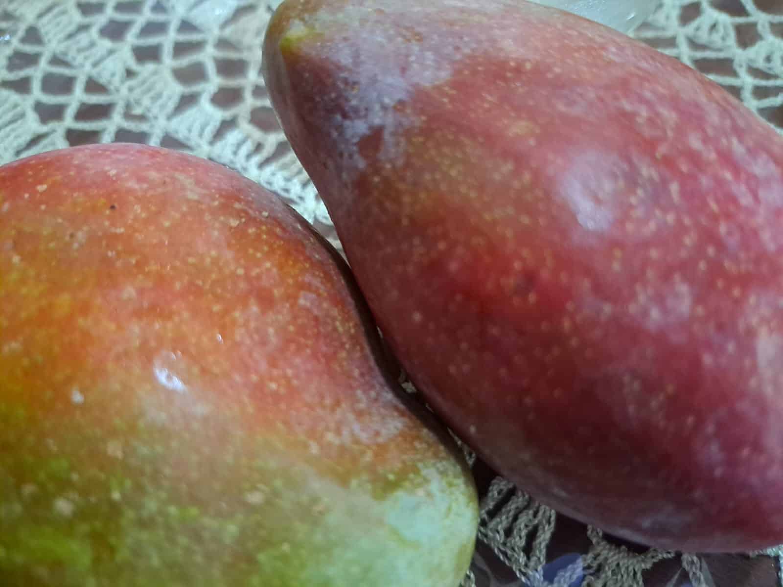 Par de mangos sobre la mesa de un hogar