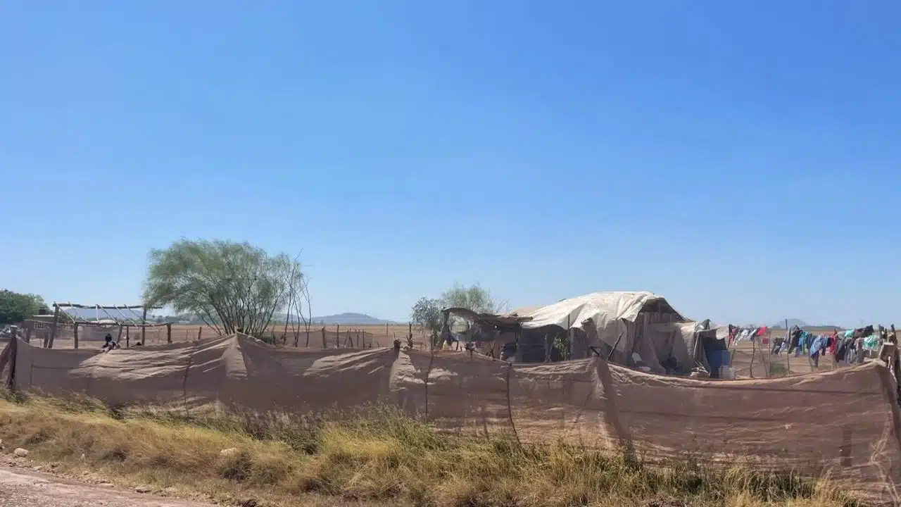 DESPLAZADOS, EL FUERTE SINALOA.