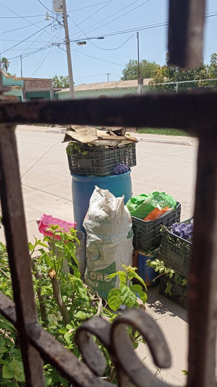 Desechos acumulados por falta de recolección de basura