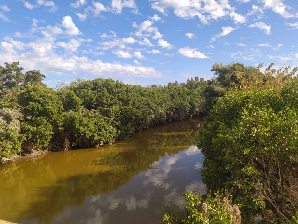 Agua verde en río a consecuencia de las lluvias