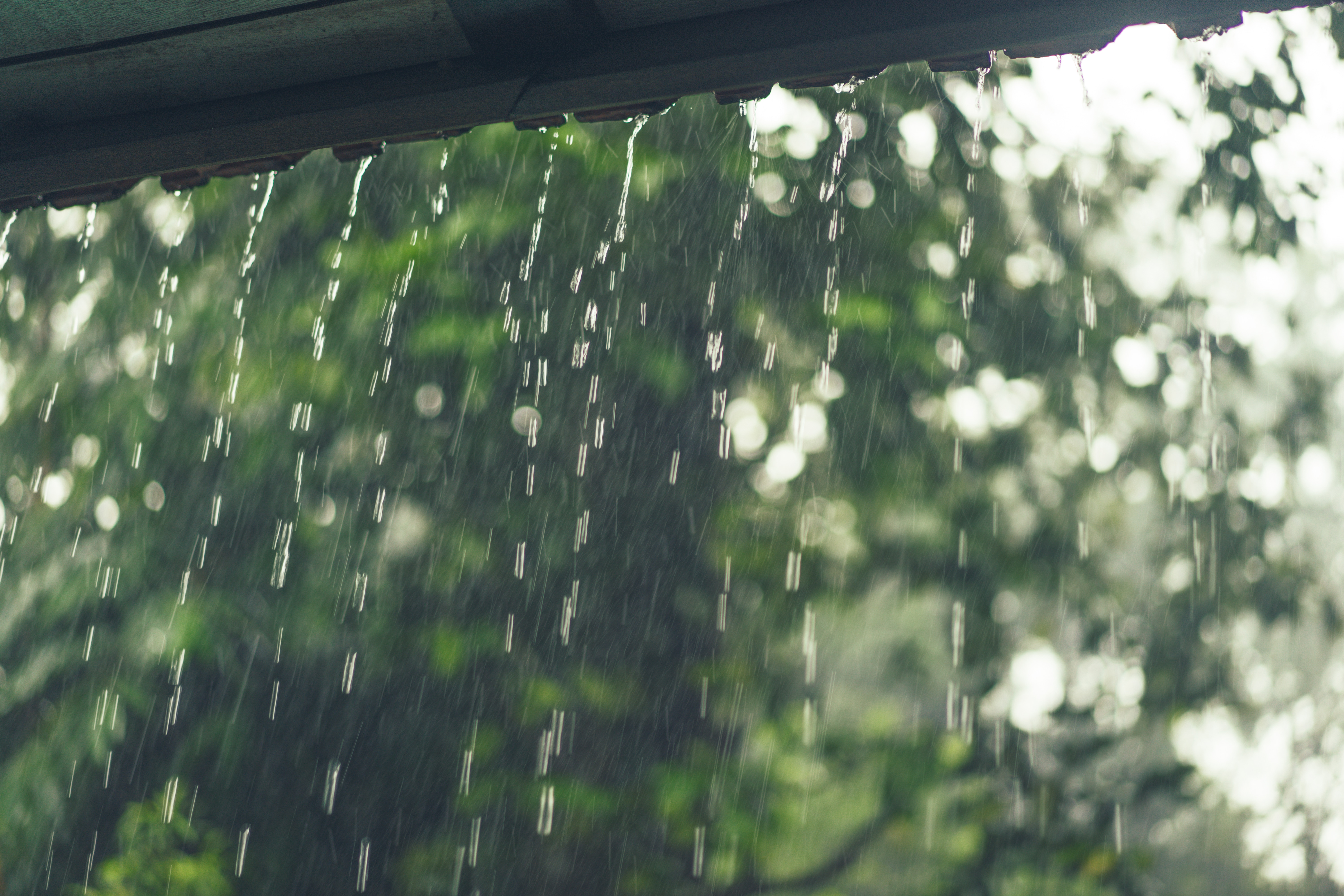 Gotas de lluvia caen de una vista