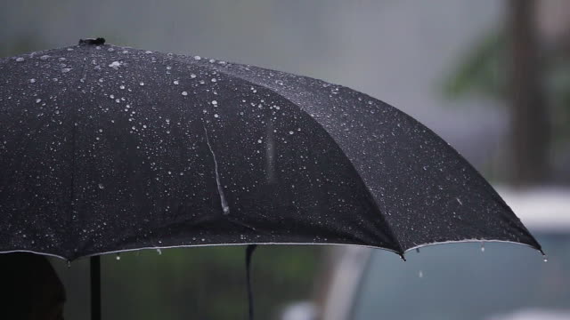 Lluvia paraguas negro
