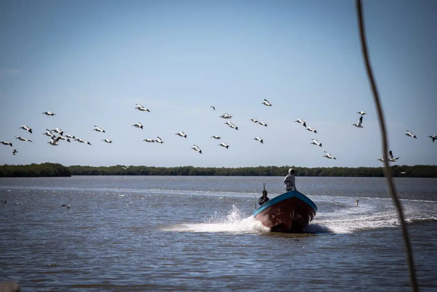 El desplome de la pesca ilegal mantiene a familias de las regiones de Sinaloa en la pobreza