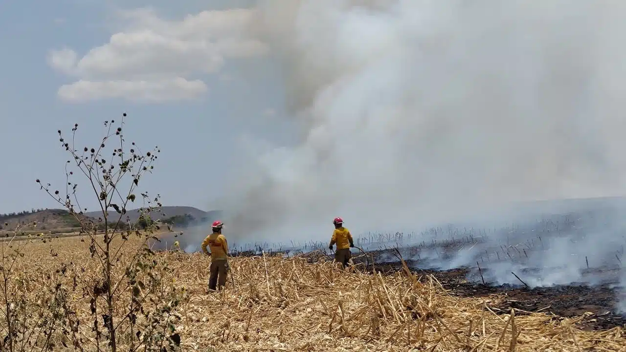 Bomberos de Mocorito apagando las llamas en un campo agrícola
