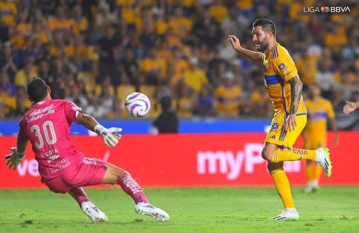 sinaloenses liga mx
